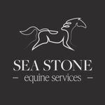 Camille stone - @seastoneequine - Instagram
