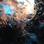 Stuart - @stuart_little_pas_camille - Instagram