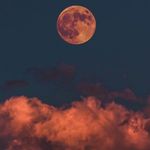 Camilo Alba - @camil.oalba - Instagram