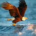 Camilo Alba - Facebook