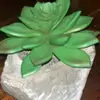 camilo Celis - @camilo.celis - TikTok