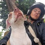 Camilo Guerrero - @_camilo_guerrero_ - Instagram