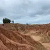 Camilo_guerrero - @camilo_guerrero0 - TikTok