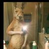camiloherrera4063 - @camilo_642 - TikTok