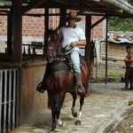 Camilo Leal - @leal1301 - Instagram