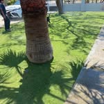 Camilo Macias - @laureles_landscaping - Instagram
