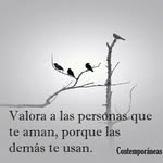 camilo mazo - @mazocamilo - Instagram