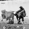 .camilo_mazo - @.camilo_mazo - TikTok