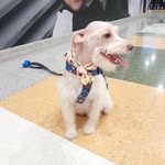 Camilo Mazo Restrepo - @camilomazorestrepo - Instagram
