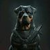 Camilo Moncada - Facebook