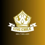 Camilo Morán Gajardo - @cmgchile_beltseller - Instagram