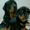 Camilo Munera - @camilo.munera10 - TikTok