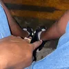 C - @camilo.murillo905 - TikTok