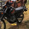 camiloolea1972 - @camiloolea1972 - TikTok