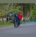 Camilo Andres Tapia Ortega - Facebook