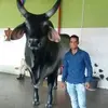 Camilo Pires - @camilo.pires4 - TikTok