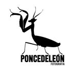Camilo Ponce De León - @poncedeleonfotografia - Instagram