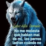 Camilo Prada - Facebook