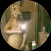 Camilo Prada - @camilo.prada7 - TikTok