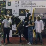 Camilo Prieto - @camilo_prieto_ - Instagram