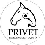 Camilo Prieto Gualteros - @camiloprieto_vet - Instagram