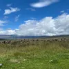 Camilo Ramón - @jcrm24 - TikTok