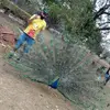 Camilo Riano329 - @camiloriano329 - TikTok