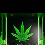 Camilo Riano - Facebook