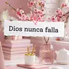 Rosa Camilo - @rosa.camilo2 - TikTok