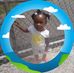 Camisha Brown - Facebook