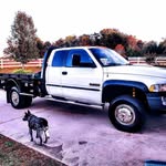 Danny Campbell - @danny.campbell.5203577 - Instagram