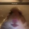 CaMpBeLl - @campbelldavis24 - TikTok