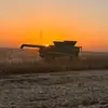 Campbell Farms - @campbell.farms - TikTok