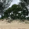 campbell - @campbellhowes - TikTok