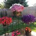Kelly Kirkpatrick - Facebook