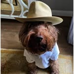 Campbell - @campbell_letch - Instagram