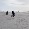 campbell marshall - @campbell.marshall1 - TikTok