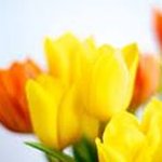 Roberta Campbell McCarthy - @mccarthyroberta - Instagram