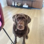 Campbell Moore - Facebook