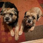 Campbell Morrison - @campbellmorrison633 - Instagram