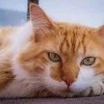 Campbell Morrison - @campbellmorrison927 - Instagram
