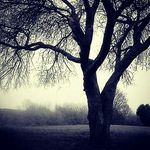 Campbell Morrison - @butterfly__minds - Instagram