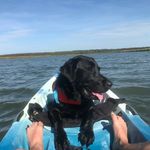 Campbell P - @campbellpowers - Instagram