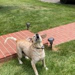Campbell Walker - @campbell_walke - Instagram