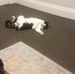 Campbell Watson - Facebook