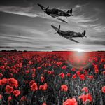 James Campbell-watson - @jameswatson453 - Instagram