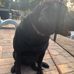 Murphy Champion - Facebook