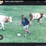 campo_da_vaca_morta - @campo_da_vaca_morta_2023 - Instagram