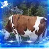 camposvaca - @camposvaca - TikTok