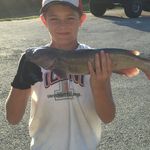 Camren Cook - @camrencook8018 - Instagram